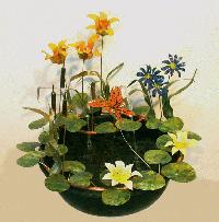 Tiger Lily Products, Inc.